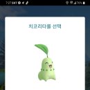 고투어 이미지