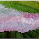 소문난횟집 이미지