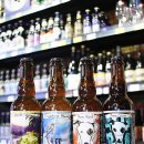 졸리 크래프트 이미지