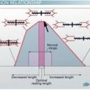 케어무브(CAREMOVE) 이미지