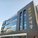 울산 남구 수암시장 회센터 초장집 소문난초장 내돈내산 솔직후기 비추
