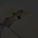 웨딩스토리 이미지