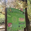 앞산어린이공원 놀이터 이미지