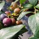 지식인농장 이미지