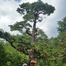 위양지 관광농원 이미지