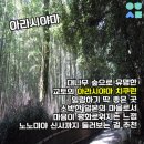 신사1-014 이미지