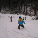 청태산휴양림 이미지