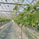 청비농장 이미지