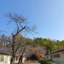 동해 구 삼척개발 사택과 합숙소 이미지