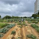 둔수농장 이미지