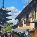 양산신-8017 | 교토, 오사카 3박 4일 자유여행 내돈내산 후기(2편)(후시미이나리신사, 청수사, 산넨자카, 규카츠...