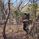 세렝게티 | 인천 무의도 백패킹 성지 ‘세렝게티’ 솔직 후기