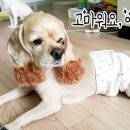 매너핸드