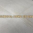 펫마루 이미지