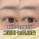 그리마눈썹;네일
