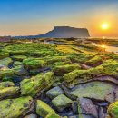 돈내코야영장화장실 이미지