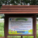 용인-구갈-구갈5 이미지