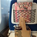 별천지공원-1(율리휴양촌앞) | 묵호 동해시티투어버스 후기 당일여행 코스 추천 무릉별유천지 도째비골