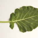 맑은숨우리내과의원 이미지