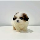 복덩이 건강센터 네이버블로그