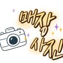 고령대가야장례식장