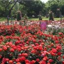 월은농장 이미지