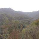 희여울과 꽃나예 이미지