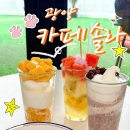 광양디저트 찾다가 발견한 카페솔라 젤라또 후기