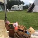 도다미네 이미지