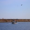 설악의 정원 이미지