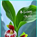 단대오거리역 이미지