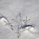 방은목장 이미지