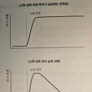 7. 파리 여행기) 몽마르뜨를 걸으며 든 생각