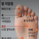발 지압법 이미지
