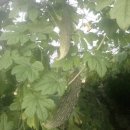 봉의농장 이미지