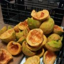 삼박농장 이미지