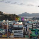 사철나무집 이미지