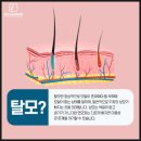 경대뉴보자르의원 이미지