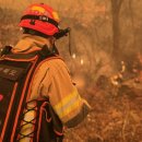 대원3리 이미지