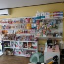 정말귀엽개 이미지