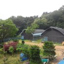 대류농장 이미지