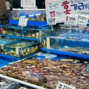 회와 멍게 친구들 | 대전 노은수산물시장 석화 염창수산 호래기회 멍게 생굴 포장 후기