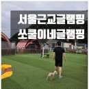 쏘쿨 | 애견동반가능 서울근교글램핑 포천 쏘쿨이네글램핑