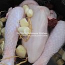 힘불끈건강원