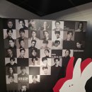레드175 이미지
