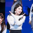 미주