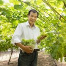 깊은내농장 이미지