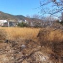 거제갈곶 이미지