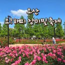 일원본-104 | 오산 가볼만한곳 2026 오! 해피 장미빛 축제 개막! 고인돌공원 주차 라인업 직접가본 후기