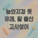 재미있는 이야기 고사성어 | 농와지경 뜻 유래, 딸 출산 고사성어